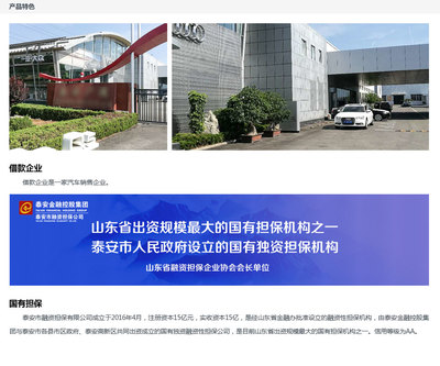 国有担保-汽车销售企业借款180天01期
