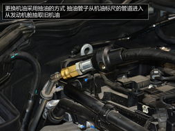 价格透明 操作严谨 奔驰星徽保养体验